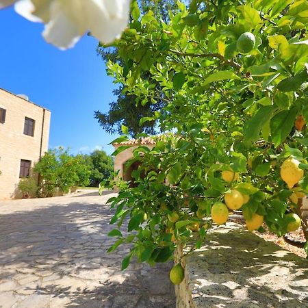 Villa Harmony, Steinvilla Prines  ภายนอก รูปภาพ